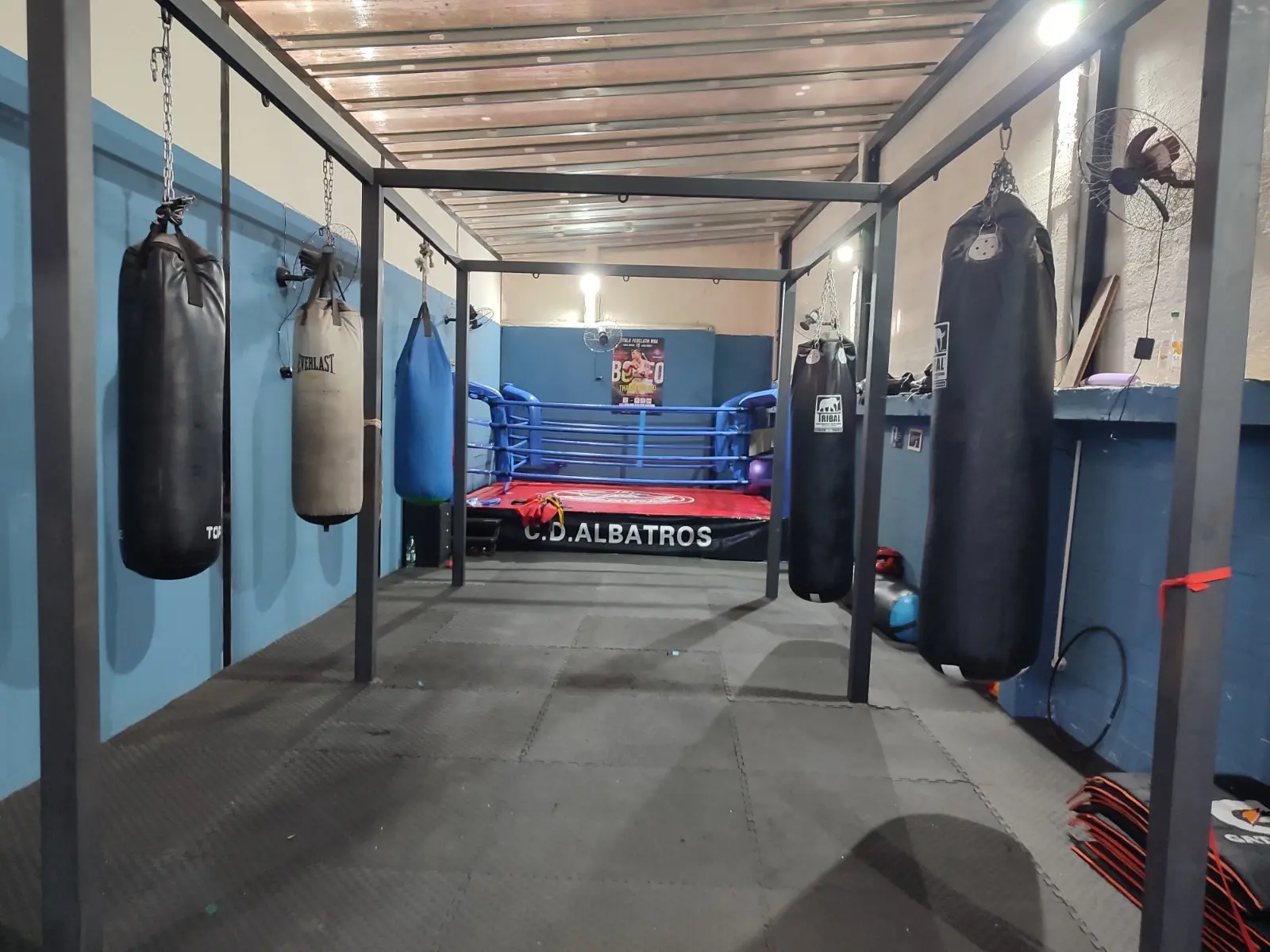 Boxeo