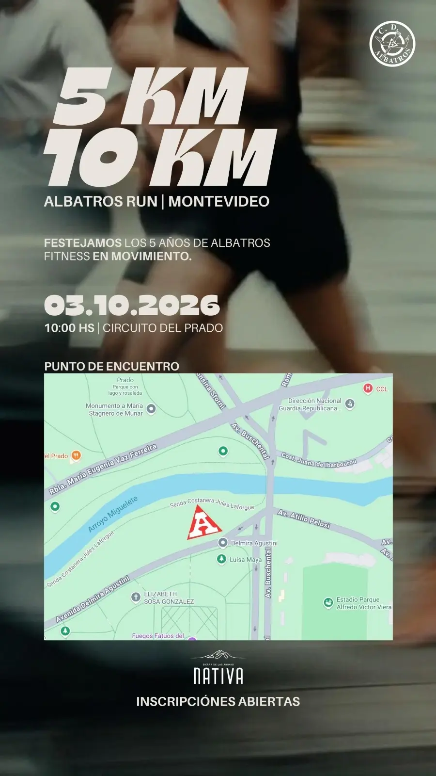 ¡ALBATROS RUN 5K & 10K!